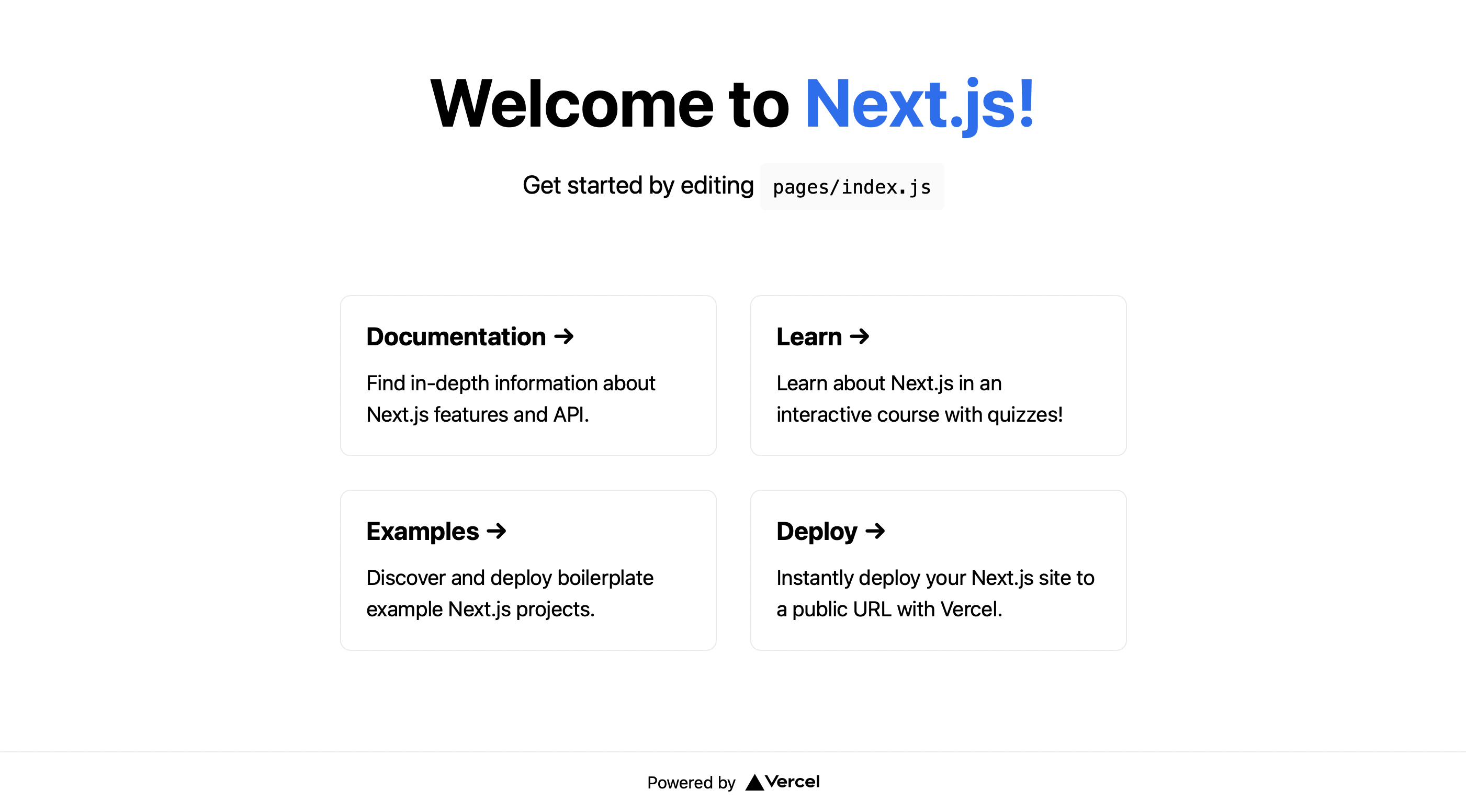 next js project home